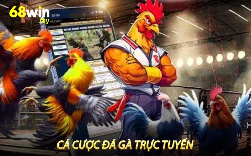 Cược đá gà trực tuyến